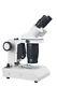 20-40x Professional Quality Binocular Stereo Microscope W Top Bottom Light Stand