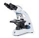 Bb. 1152-pl Euromex Bioblue. Lab Binoculars Microscope Bb1152