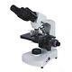 Binocular Microscope Use In Lab