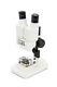 Celestron Labs S20 Entry-level Stereo Microscope With 20x Magnification