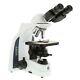 Euromex Iscope For Hellfeld Is. 1152-epl Binokulares Laboratory Microscope