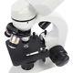 Lab Binocular Microscope 40x-5000x 360°rotation Clear Image Hd Us Plug 100-240v