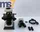 Labomed Cxriii Binocular Microscoptics Laboratory Microscope 100-260v