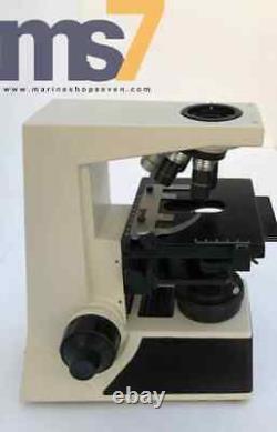 Labomed Cxriii Binocular Microscoptics Laboratory Microscope 100-260v