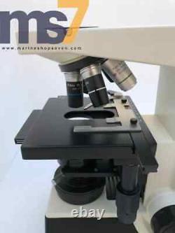 Labomed Cxriii Binocular Microscoptics Laboratory Microscope 100-260v