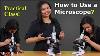 Microscope Parts And Functions How To Use A Microscope