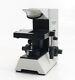 Olympus Ch30 Transmitted Light Microscope