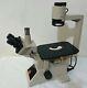 Olympus Ck2 Inverted Phase Contrast Microscope With 2 Lens