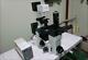 Olympus Ix70 Inverted Contrast Fluorescence Microscope