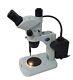Olympus Stereo Microscope Sz 61 Tr Zoom. 67x X45 With & Fiberoptic Light