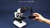 Svbony Sm201 Binocular Compound Lab Microscope For Teaching Experiment U0026 Biological Detection