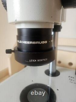 Wild M8 Heerbrugg Stereo Microscope with illuminated Stand